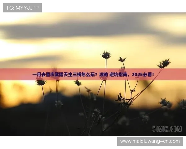 玩球容错打法避坑指南防骗稳赢技巧